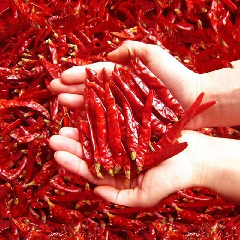 Dried Red Chilli